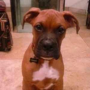 Meet your Posher, Mel